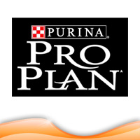 Pro Plan