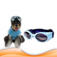 Pet googles