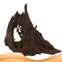 Natural/real mangrove roots for aquarium