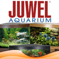 Juwel OFFERS!!