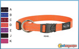 ROGZ Collar 11mm 20-32