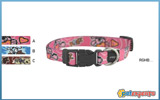 ROGZ COLLAR 8mm 14-21 PUPZ