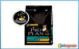 Pro Plan Adult Performance Original