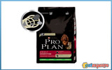 Pro Plan Adult Large Athletic 