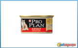 Pro Plan ADULT