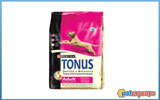 Tonus Adult