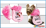 Dog dress ciao bella