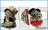 Dog hoodie la gold leopard