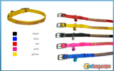 Cat collar srass 10mm χ 30 cm