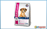 EUKANUBA BOXER