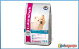  EUKANUBA WEST HIGHLAND WHITE TERRIER