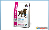 EUKANUBA DAILY CARE SENSITIVE JOINTS