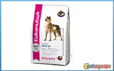  EUKANUBA DAILY CARE SENIOR 9+