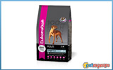 EUKANUBA ADULT MAINTENANCE LARGE BREED