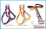 Adjustable harness & leads