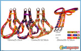 Adjustable harness & leads dogz