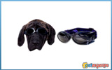 Dog googles black & black