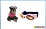 Dog googles pink & orange