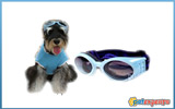 Γυαλιά σκύλου light blue & blue