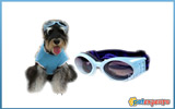 Dog googles light blue & blue