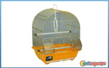 Bird gold cage