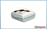 Cat storage box snap 2.7l