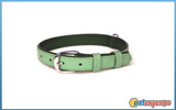 Sumertime 37cm dog lead