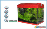 Aquarium SP with lamps and filter 60L