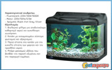 Aquarium with lamps and biofilter 70lt