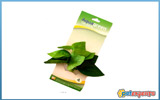 Aquagreen silk plant 9200