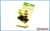 Aquagreen μεταξωτό φυτό ενυδρείου 9204