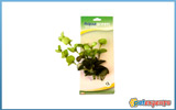 Aquagreen μεταξωτό φυτό ενυδρείου 9207