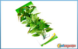 Aquagreen μεταξωτό φυτό ενυδρείου large 9215