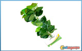 Aquagreen μεταξωτό φυτό ενυδρείου large 9226