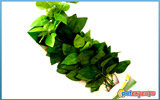 Aquagreen μεταξωτό φυτό ενυδρείου super 9228