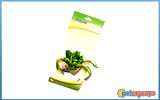Aquagreen silk plant 9201
