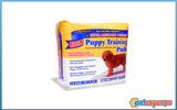 PUPPY TRAING PADS