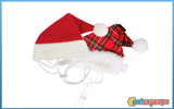 Dog puppia santa hat