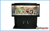 Greek Made Aquarium Juwel Type