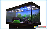 Greek Made Aquarium Juwel Type