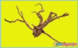 Natural/real mangrove roots for aquarium