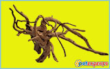 Natural/real mangrove roots for aquarium