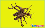 Natural/real mangrove roots for aquarium