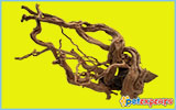 Natural/real mangrove roots for aquarium