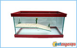 Glass turtle aquarium